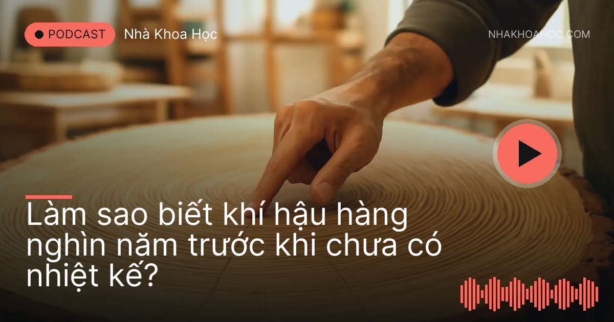 Ngón tay lần theo vòng năm trên lát cắt thân gỗ lớn